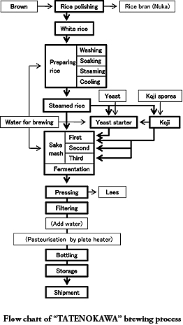 About the Brewing Process