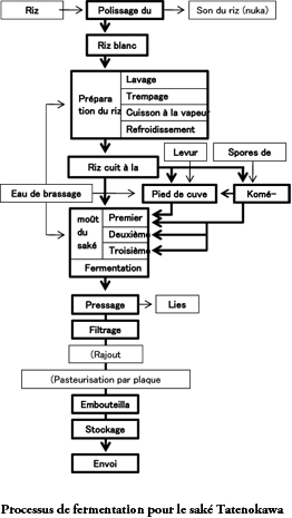 About the Brewing Process