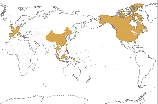 世界地図